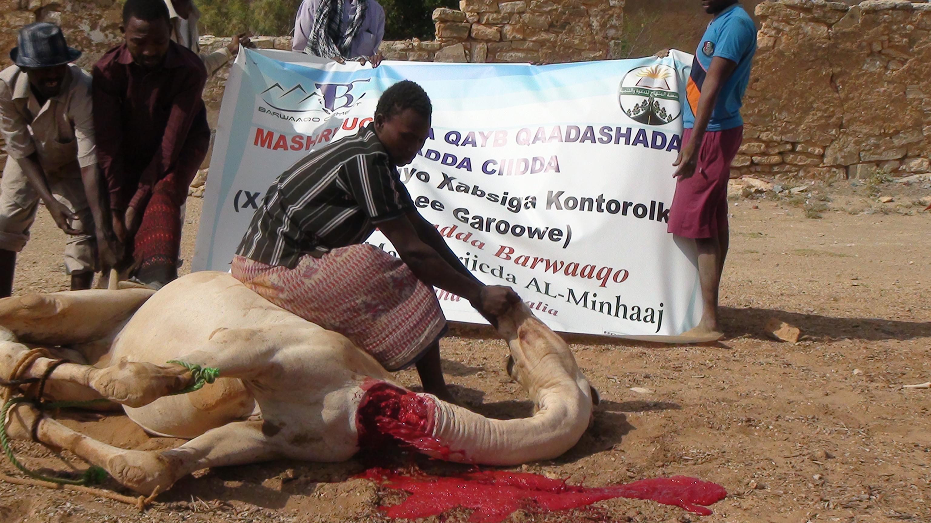 MU,ASASADA AL-MINHAAJ FARACEEDA GOBOLKA NUGAAL OO GEEL UQASHAY MAXAABIISTA XABSIYADA GAROWE (SAWIRO)