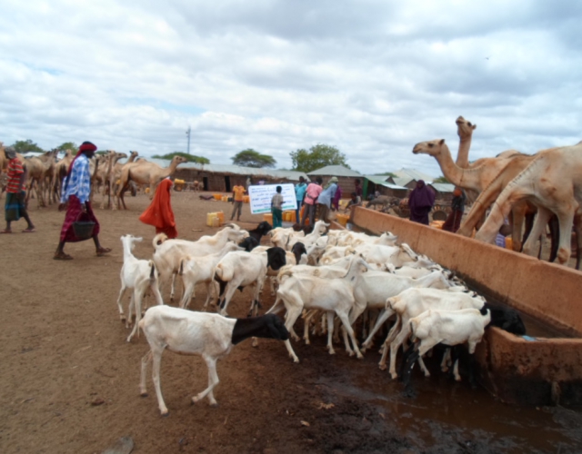 Mu’asasada Al-raxmah oo shidaal u qaybisay matoorada ku yaala deegaanada abaaruhu saameeyeen ee gobolka Gedo.[Masawiro]