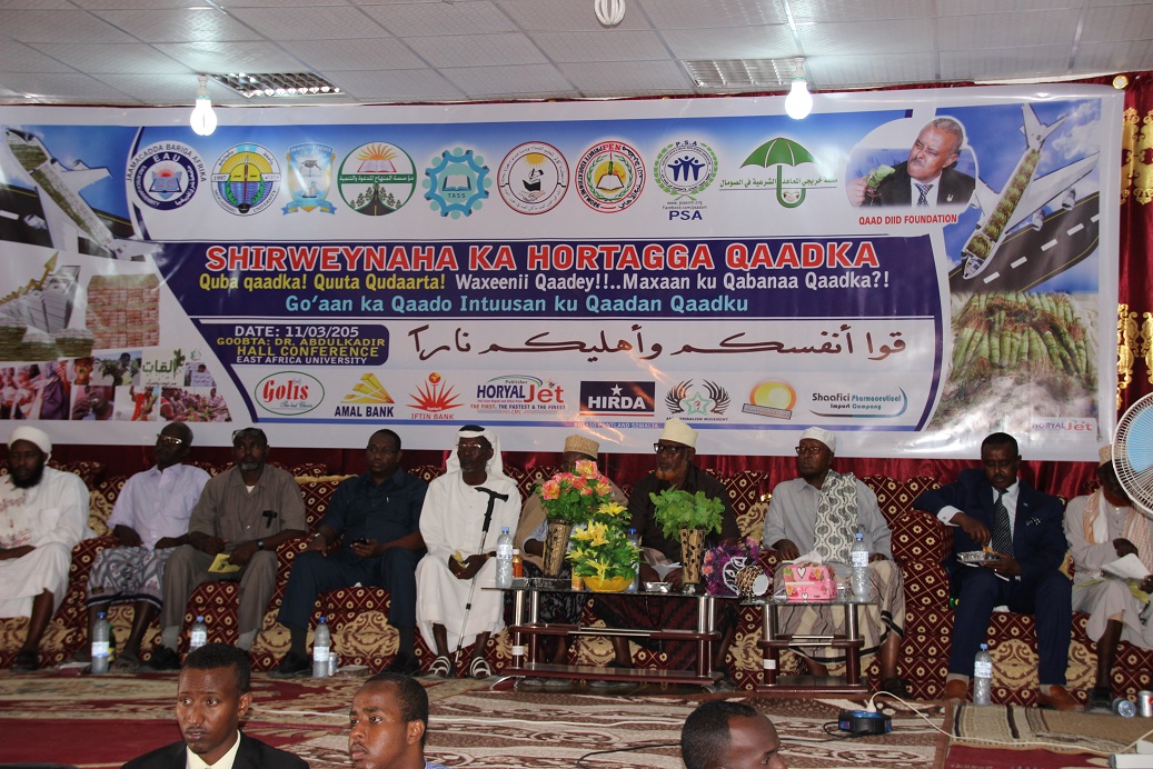 Shirwayne looga hadlayey ka hortaga Qaadka oo magalada Bosaso lagu qabtay (Sawirro)