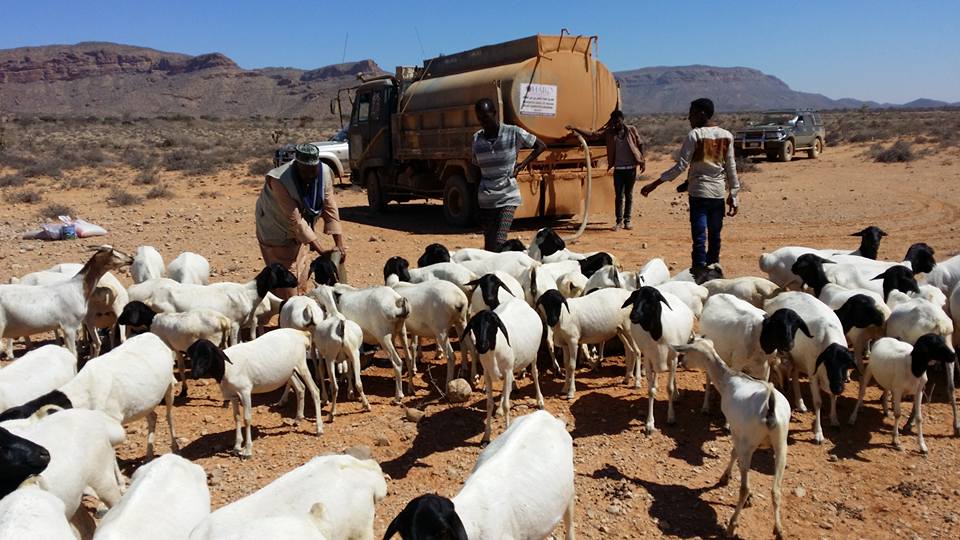 Hay’Ada Haro Xafiiskeeda Puntland Oo biyo qaybis kasamaysay Deegaano Badan .