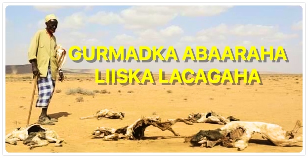 Guddiga Gurmadka Abaaraha Oo Soo Bandhigay Lacagihii Soo Gaaray
